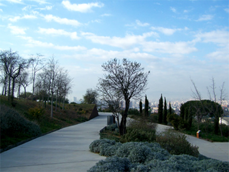 bild6